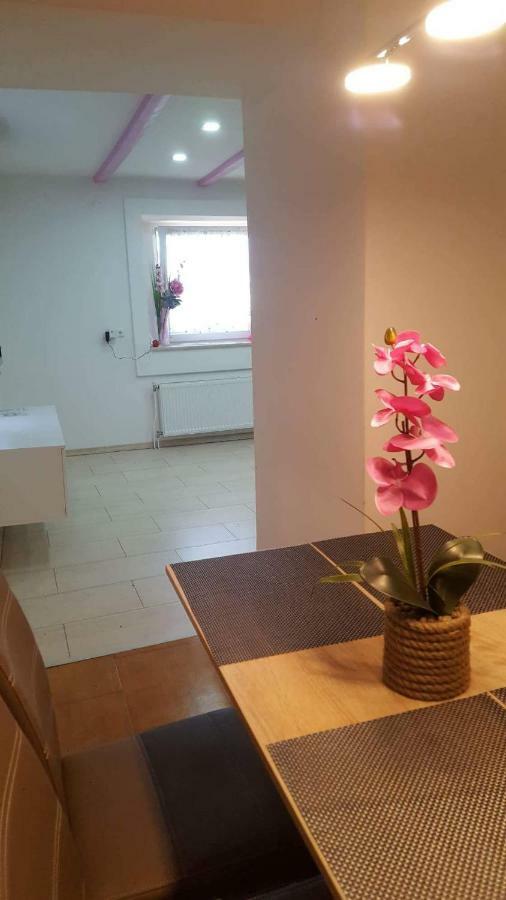 Apartment Goran&Nela Umag Buitenkant foto